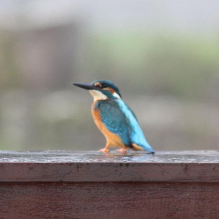 River Cottage Balledent Екстер'єр фото